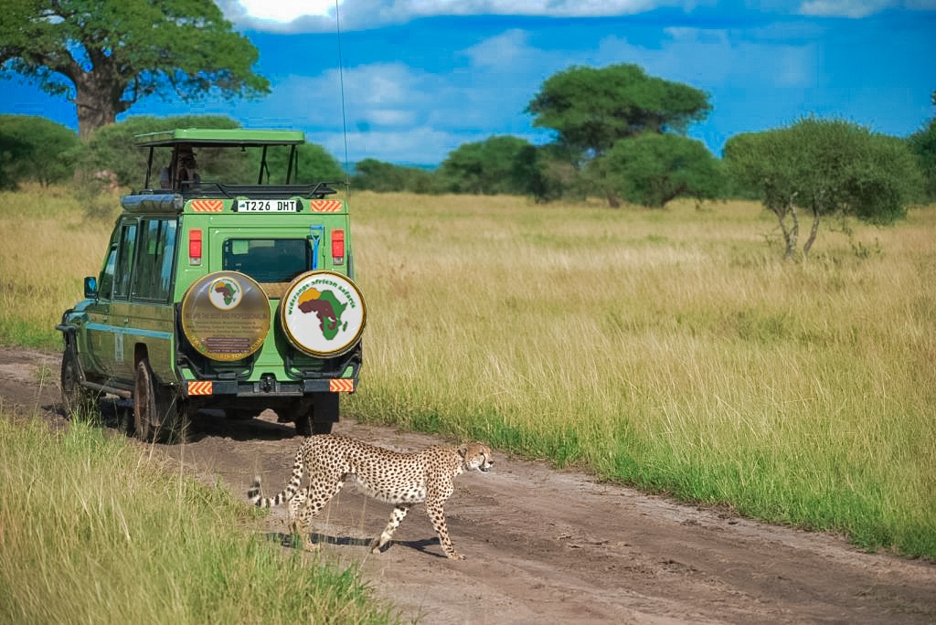 2 days Tanzania sharing safari | Lake Manyara & Ngorongoro crater