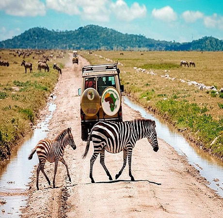 private budget tanzania safari four days