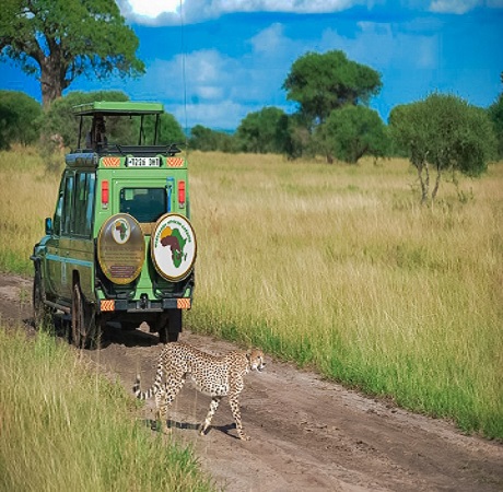 5 days tanzania private safari