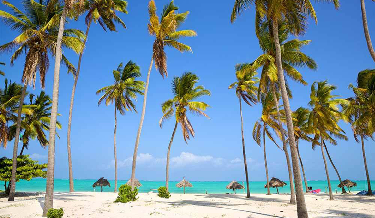 Zanzibar beach holiday 2 days itinerary